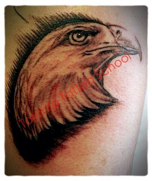 eagle.jpg