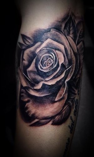 rose.jpg